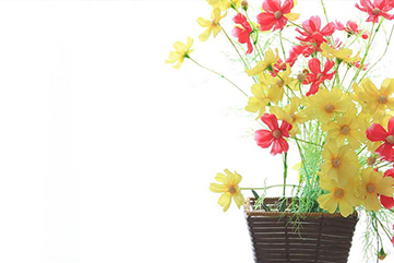 特殊清掃・孤独死